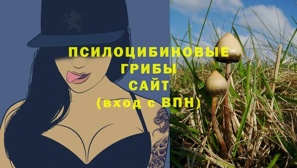 спайс Инсар