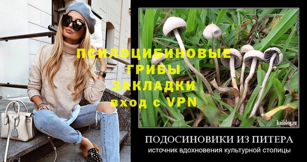 меф Инта