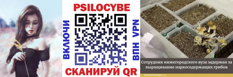Псилоцибиновые грибы мухоморы  Купить где  Елизаветинская 